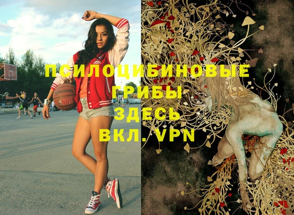 скорость Тында