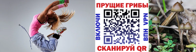 Галлюциногенные грибы GOLDEN TEACHER  Купить  Урус-Мартан 