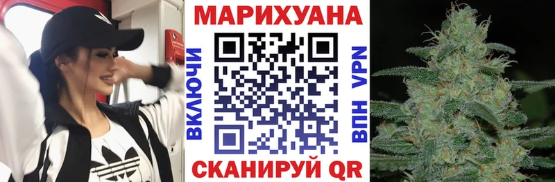 Купить где  Урус-Мартан  МАРИХУАНА план 